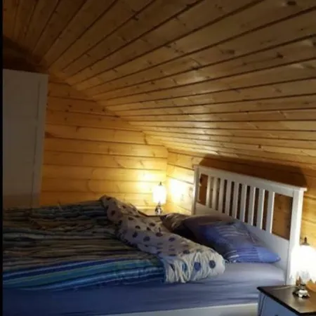 Carlanja 度假居 Mäntyharju